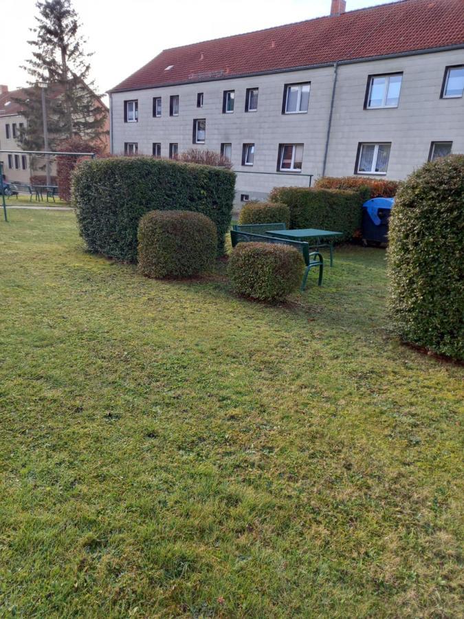 Pine Crest Ferienwohnung Harzgerode Eksteriør bilde